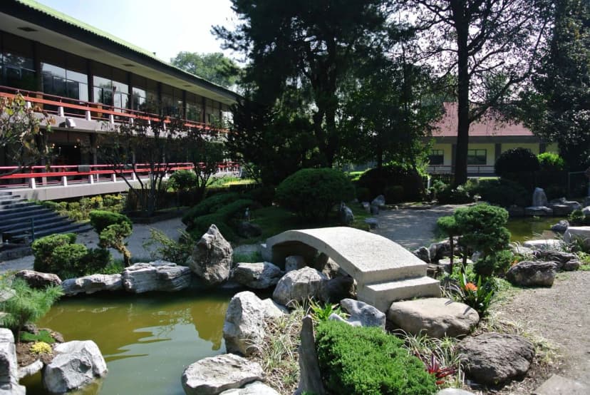 Asociación México-Japonesa: restaurante, jardines y eventos culturales japoneses en CDMX