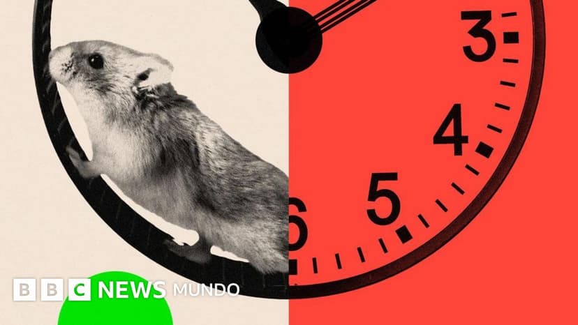 "Buscamos personas adictas a su trabajo": por qué algunas tecnológicas están imponiendo la jornada de 72 horas semanales