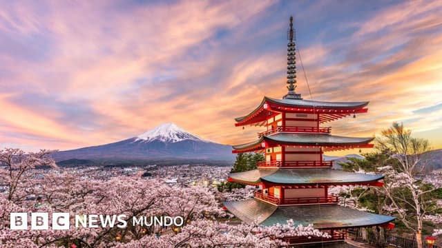 Cancelan un famoso festival de los cerezos de Japón ante el mal comportamiento de los turistas