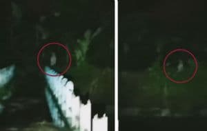 Captan aterrador ente brincando en medio del bosque durante la madrugada | VIDEO SOBRENATURAL