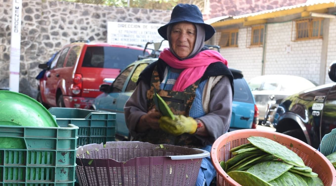 Centro de Acopio de Nopal, el principal mercado del oro verde de Milpa Alta