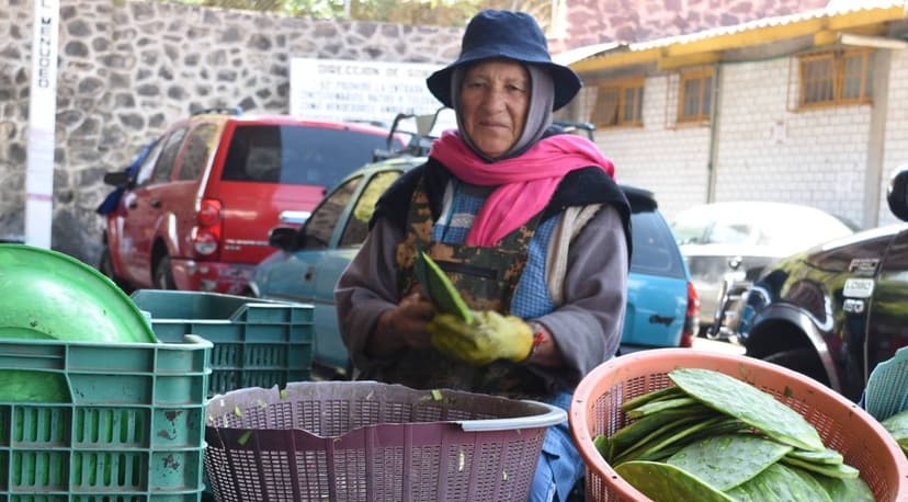 Centro de Acopio de Nopal, el principal mercado del oro verde de Milpa Alta