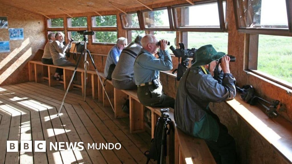 Paseantes disfrutan de la observación de aves en un parque urbano, una práctica que beneficia la salud mental.
