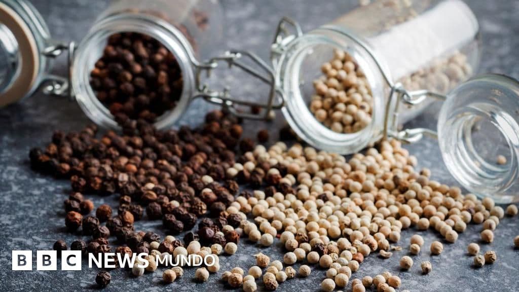 Cómo la pimienta negra y el aceite de oliva potencian los nutrientes de los alimentos que comemos