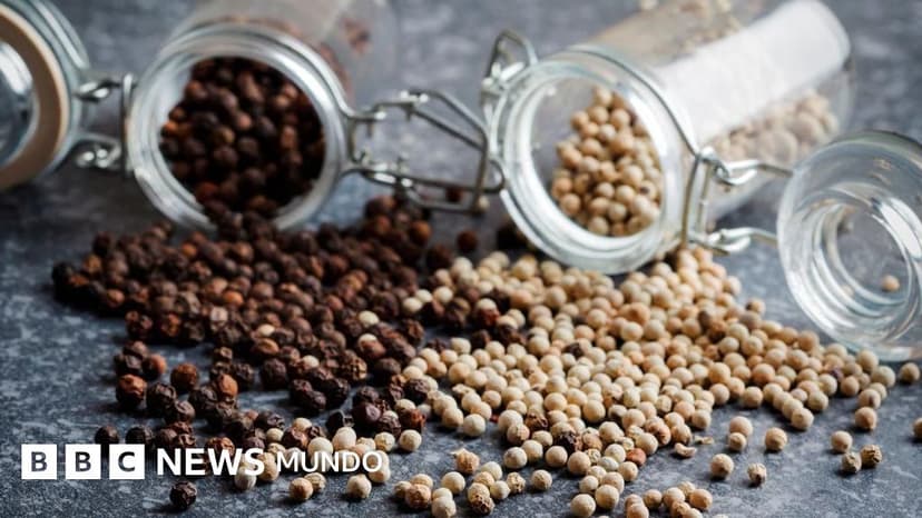 Cómo la pimienta negra y el aceite de oliva potencian los nutrientes de los alimentos que comemos