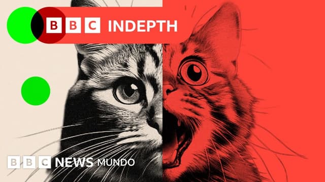 Cómo las imágenes absurdas creadas con IA están cambiando a las redes sociales y afectando a sus usuarios