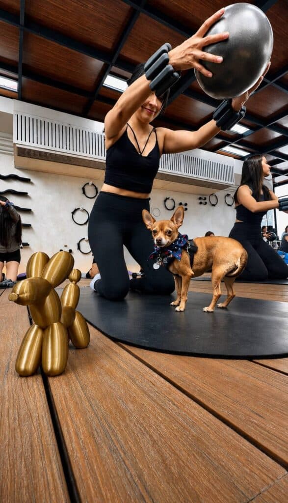 Dog Pilates: Bienestar y conexión con tu lomito