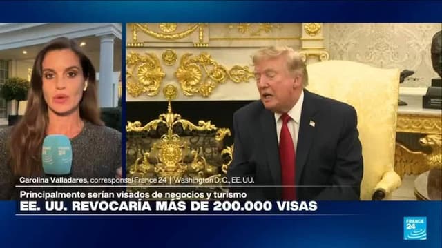 EE. UU. revocaría más de 200.000 visas, principalmente de negocios y turismo