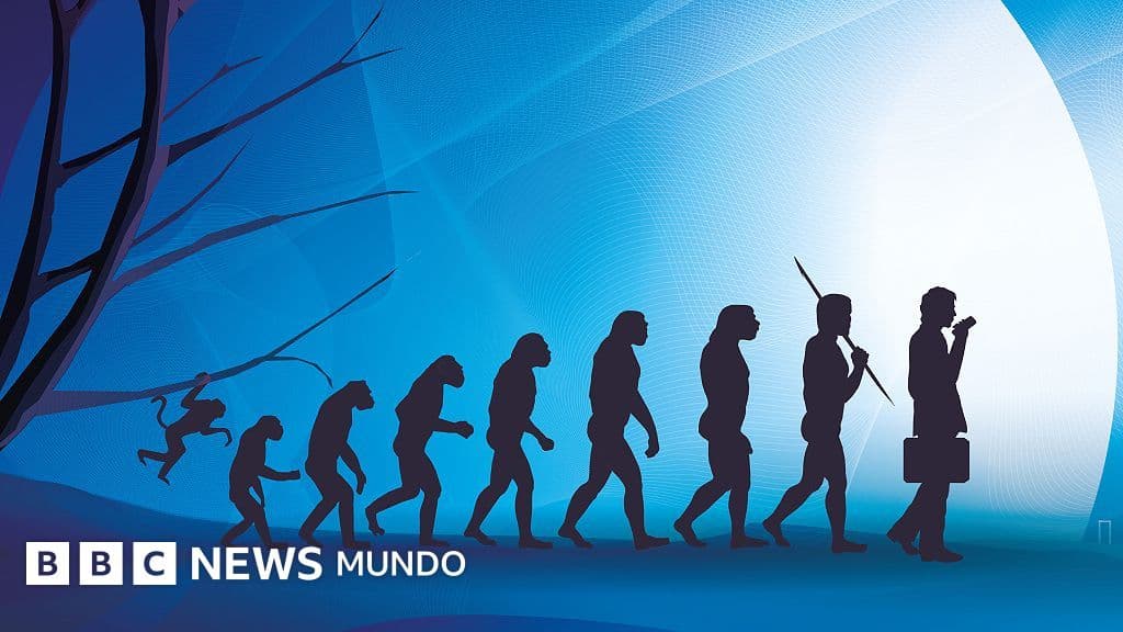 El cuerpo humano no es una obra maestra del diseño, sino un mosaico de compromisos evolutivos