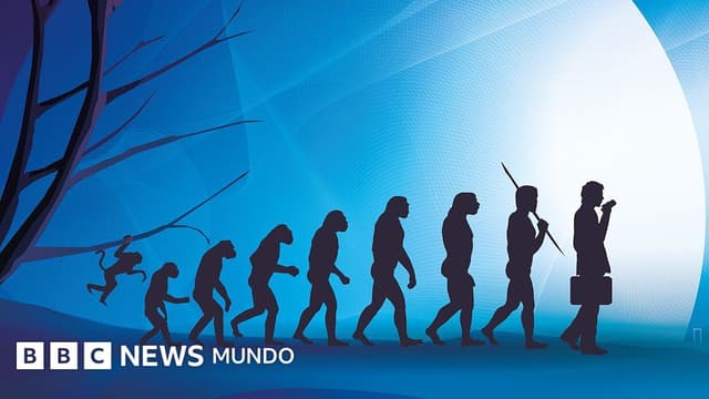 El cuerpo humano no es una obra maestra del diseño, sino un mosaico de compromisos evolutivos