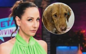 Él es “Osito”, perrito que lucha por su vida y tiene como amigo un peluche de pato; conquistó a Consuelo Duval