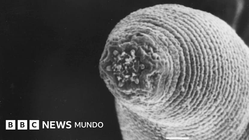El "gusano del diablo" que acecha en las profundidades de la Tierra (y el misterio de cómo llegó allí)