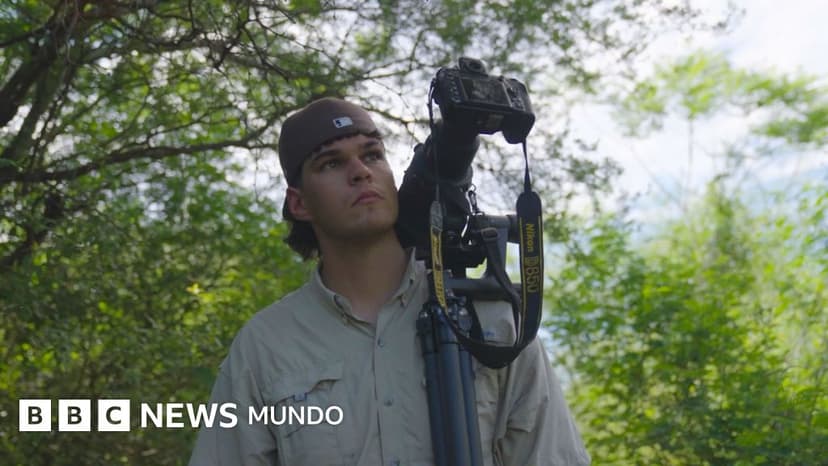 El joven uruguayo que busca al misterioso urutaú, el pájaro con camuflaje que es único en América