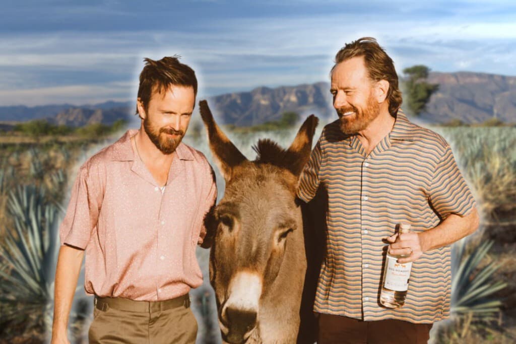 El mezcal de los actores de Breaking Bad es parte de un problema en Oaxaca: su éxito implica deforestación y alto consumo de agua