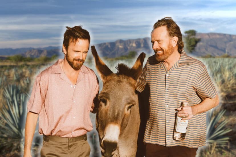 El mezcal de los actores de Breaking Bad es parte de un problema en Oaxaca: su éxito implica deforestación y alto consumo de agua