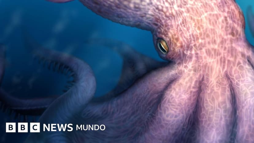 El pulpo carnívoro de 19 metros que acechaba los antiguos océanos