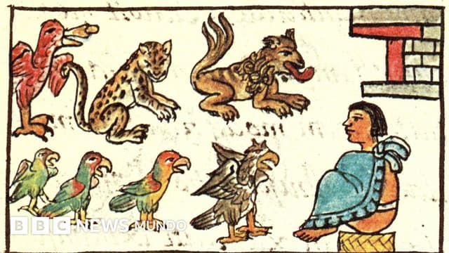 El zoológico de Moctezuma que asombró a los españoles hace 500 años y que recién ahora empezamos a conocer