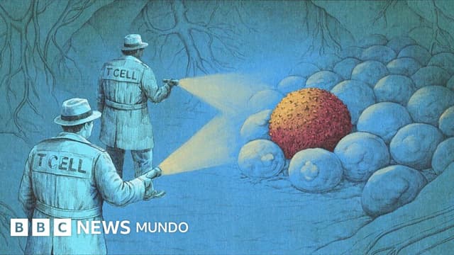 "Es increíble, como ciencia ficción": los nuevos tratamientos con inmunoterapia que están eliminando el cáncer
