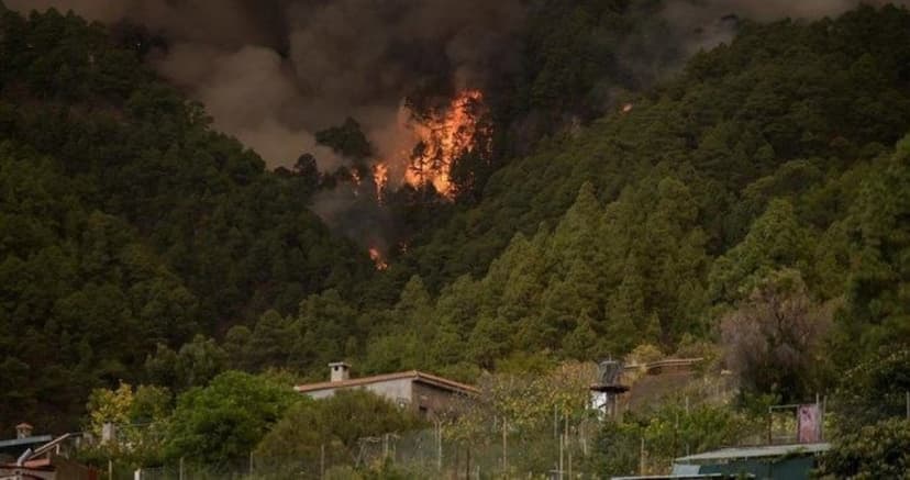 Exposición a humo de incendios forestales aumenta riesgo de derrame cerebral: estudio