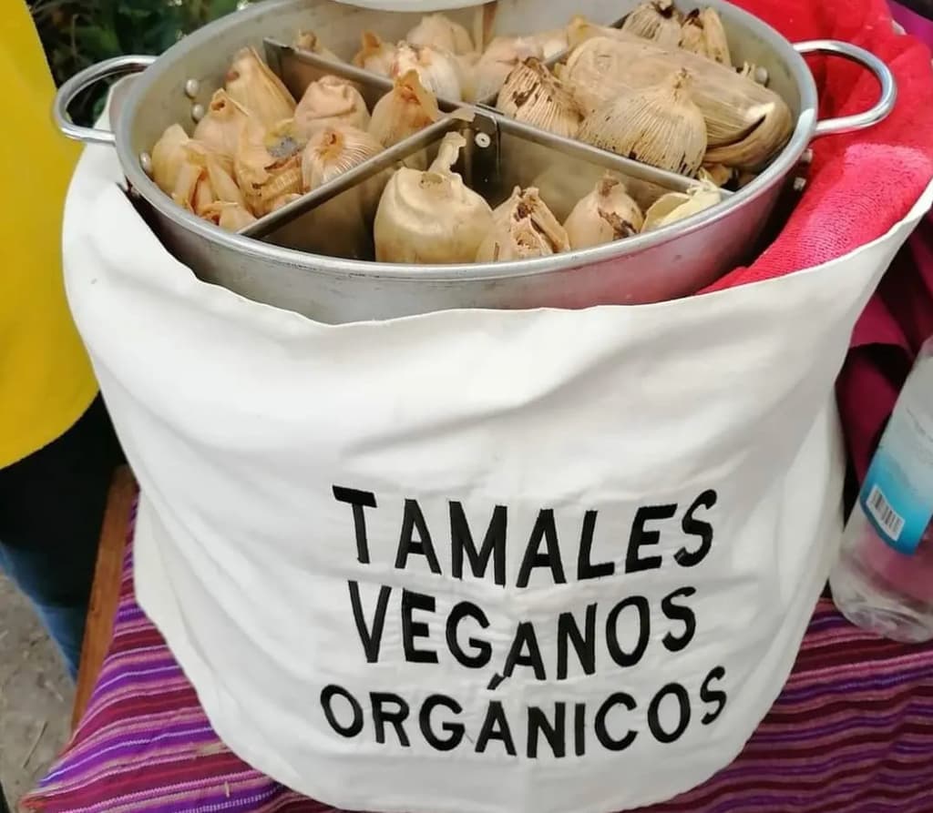 Feria del Tamal Vegano 2026 en CDMX: tamales y atoles en compañía de tu mascota