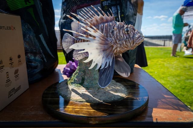 Florida quiere acabar con una especie que invade sus costas, así que organizó un concurso de pesca que ya rompió un récord