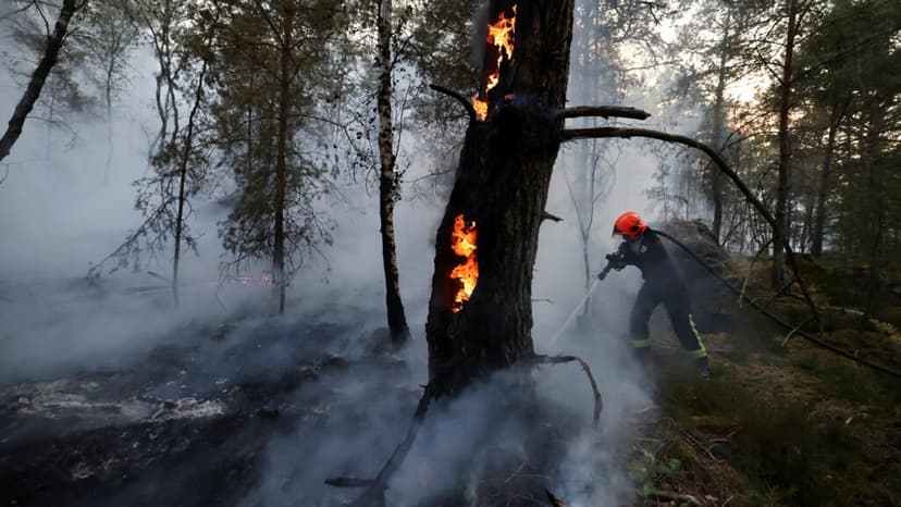 Francia combate grandes incendios cerca de París que ya afectan 1.900 hectáreas