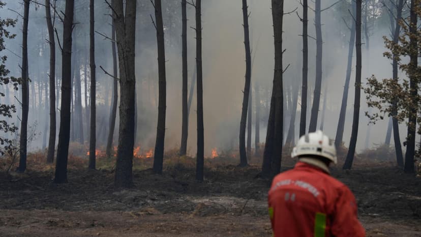 George Clooney y su familia evacúan su casa en Francia debido a los incendios forestales