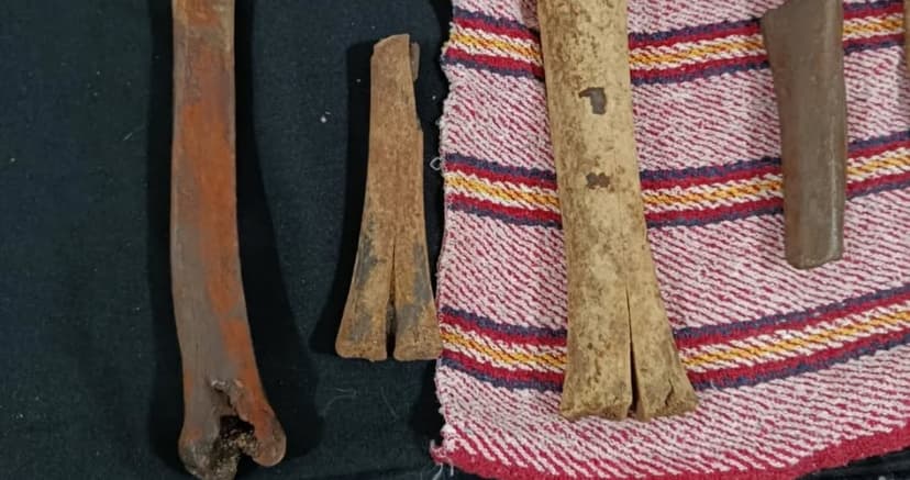 Investigador descubre fósiles de mamuts y perezosos de la Edad de Hielo en SLP