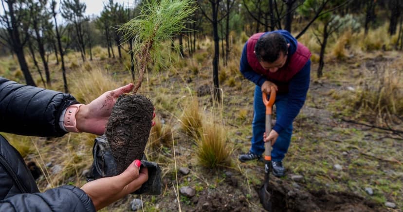 La importancia del cuidado ambiental en América Latina