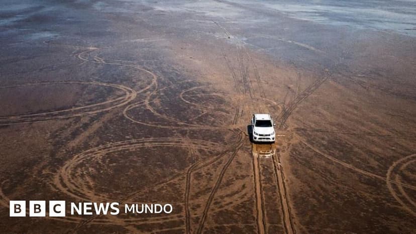 La indignación por el daño ambiental que causó un hombre con su camioneta en un ecosistema único de Argentina