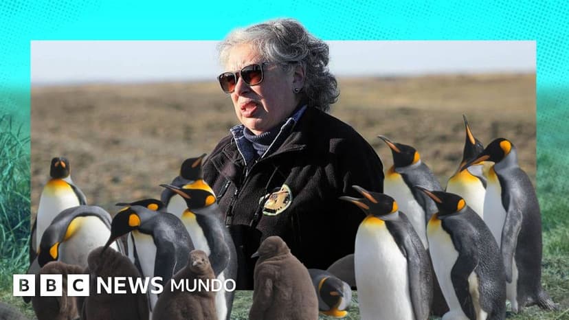La maestra de preescolar que lo dejó todo y se convirtió en guardiana de 200 pingüinos rey en el sur de Chile