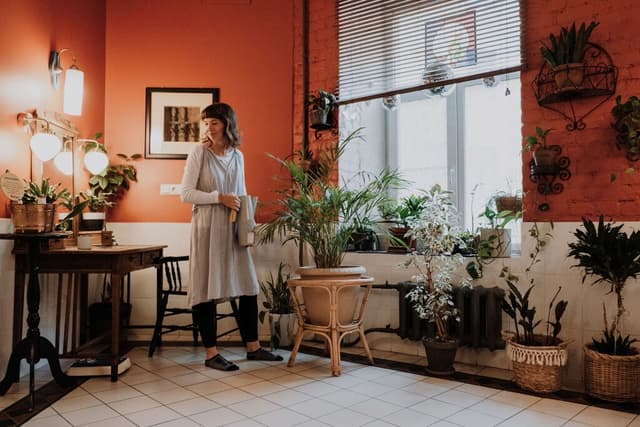 La pregunta no es qué significa tener plantas dentro de casa, sino qué efectos psicológicos tienen, según la ciencia