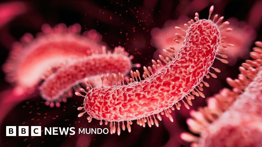 Las poderosas bacterias halladas en cuevas profundas que desafían la medicina actual