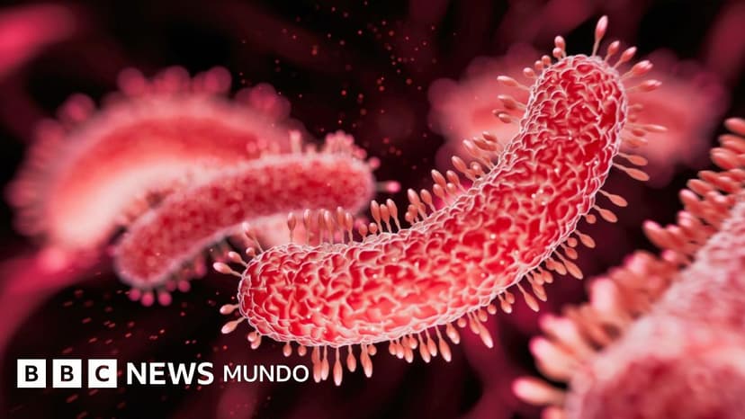 Las poderosas bacterias halladas en cuevas profundas que desafían la medicina actual