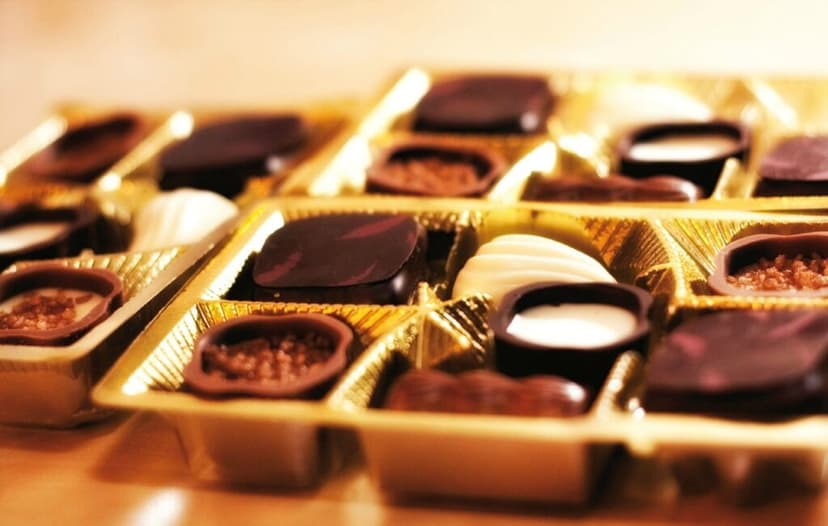 ¡Lleva a tu crush! CDMX tendrá Festival de Flores y Chocolate por San Valentín