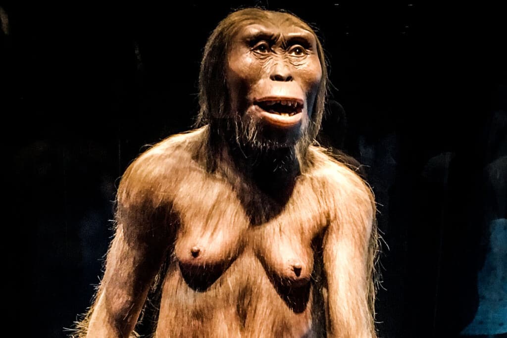 Llevamos 50 años pensando que Lucy es nuestro ancestro más lejano. Un estudio piensa lo contrario