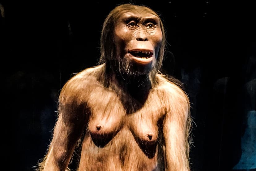 Llevamos 50 años pensando que Lucy es nuestro ancestro más lejano. Un estudio piensa lo contrario