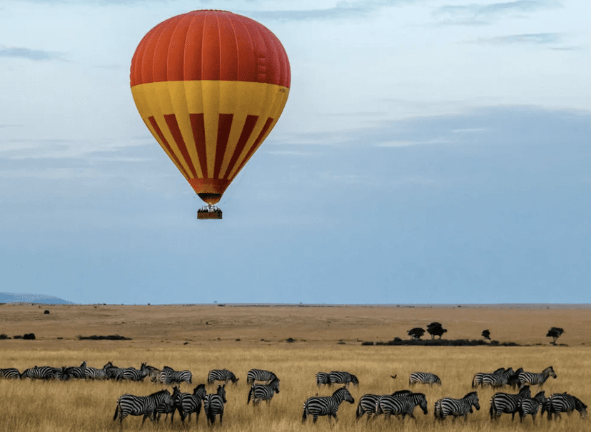 Lo mejor del lujo y la naturaleza sigue evolucionando en África con nuevas aperturas