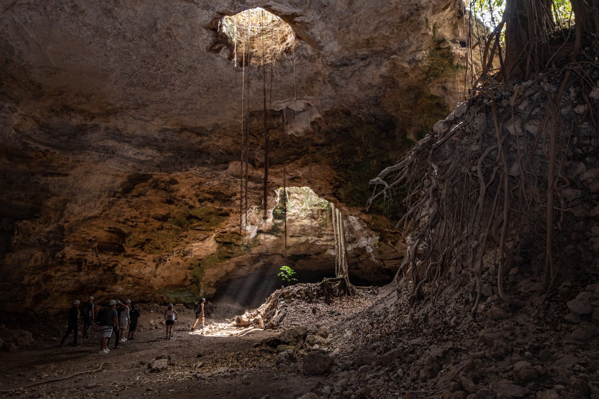 Los Cuarteles, una gruta que es hogar de miles de murciélagos en Tamaulipas