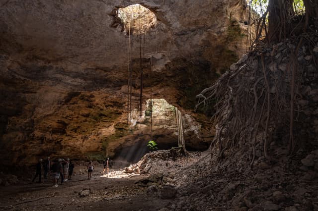 Los Cuarteles, una gruta que es hogar de miles de murciélagos en Tamaulipas