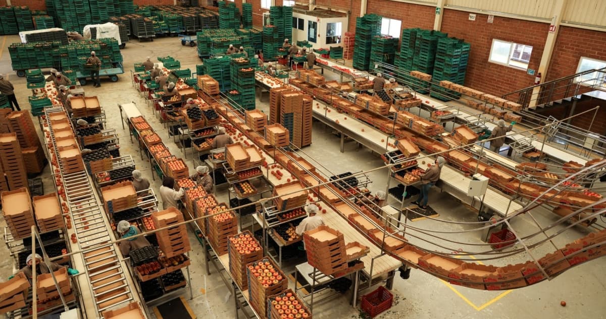 México nunca había exportado tanto como en 2025. Fueron 664,837 millones de dólares