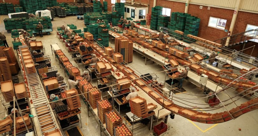 México nunca había exportado tanto como en 2025. Fueron 664,837 millones de dólares