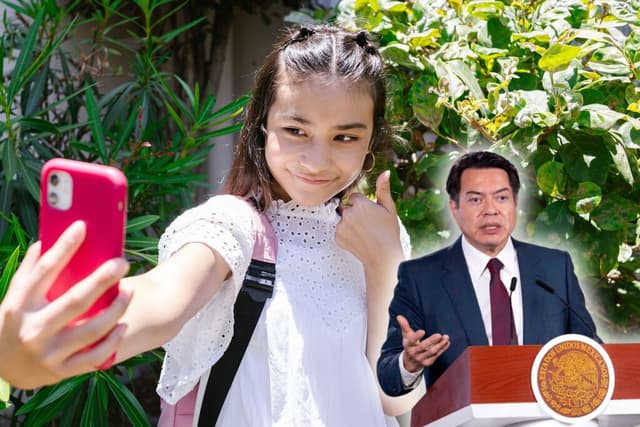 México prepara reglas para los celulares en las escuelas, pero antes la SEP consultará a un millón de maestros