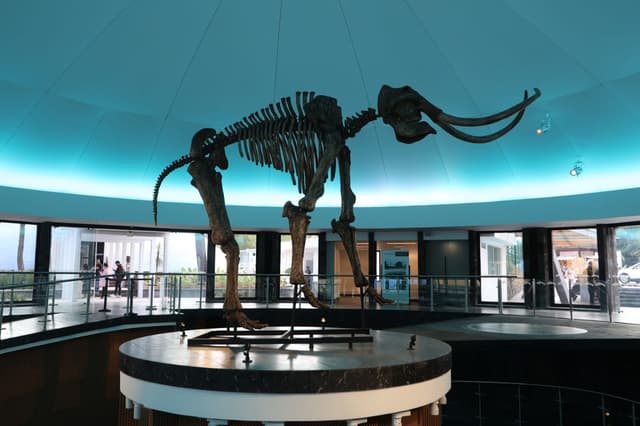 Museo de Historia Natural y Cultura Ambiental, uno de los recintos que debes conocer en la CDMX