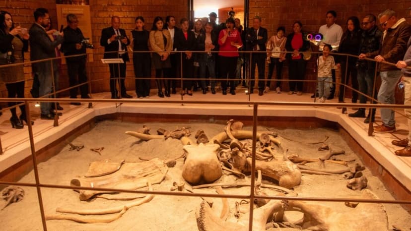 Museo del Mamut gratis en Tultepec: conoce su esqueleto de 7 metros y trampas prehistóricas