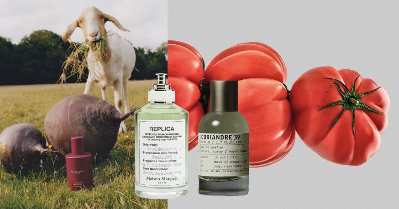Perfumes inspirados en vegetales: la tendencia olfativa que conquista la temporada