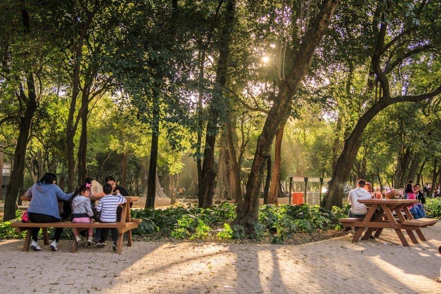 Picnic en Chapultepec: plan GRATIS para celebrar el Día de la Tierra