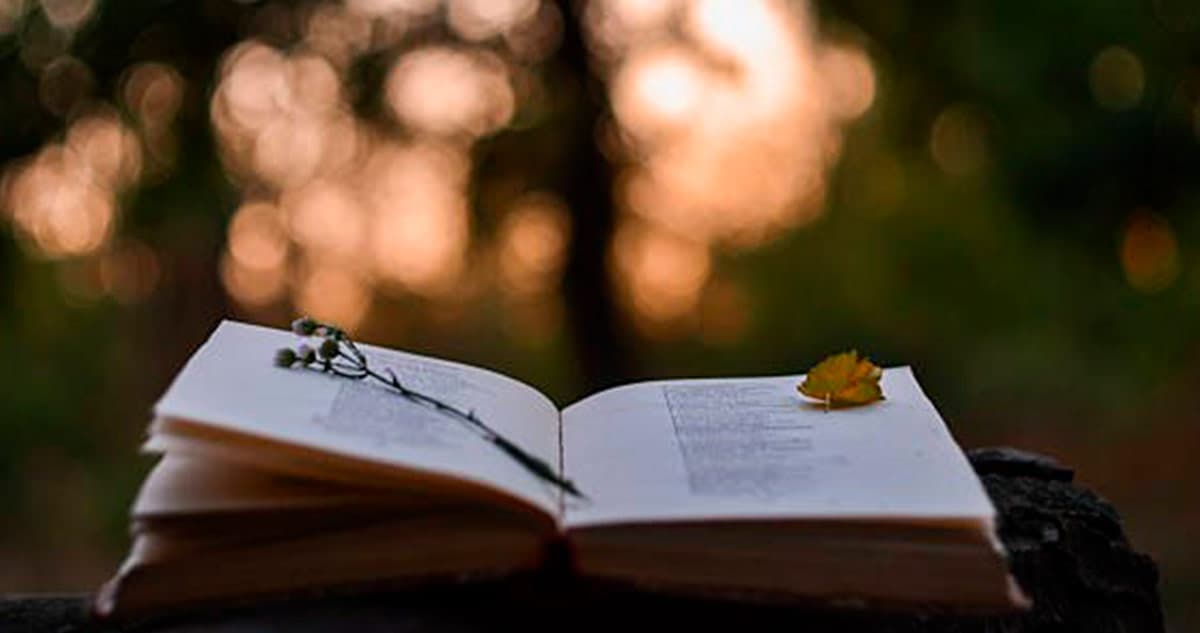 Poetas cubanas para días feos y malos