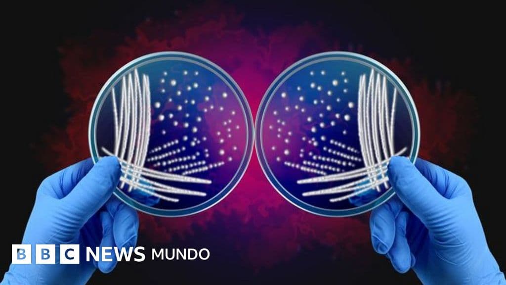 Qué es el misterio de las asimetrías de la naturaleza por el que dos investigadores ganaron el Nobel de Química