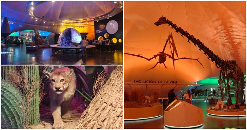 ¿Quieres aprender del universo y dinosaurios? El Museo de Historia Natural te espera